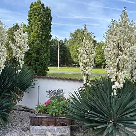 In Balatonbereny/balaton 18047 Apartamento *